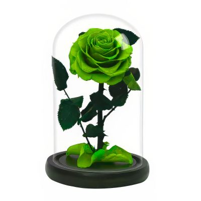 Роза в колбе светло-зеленая